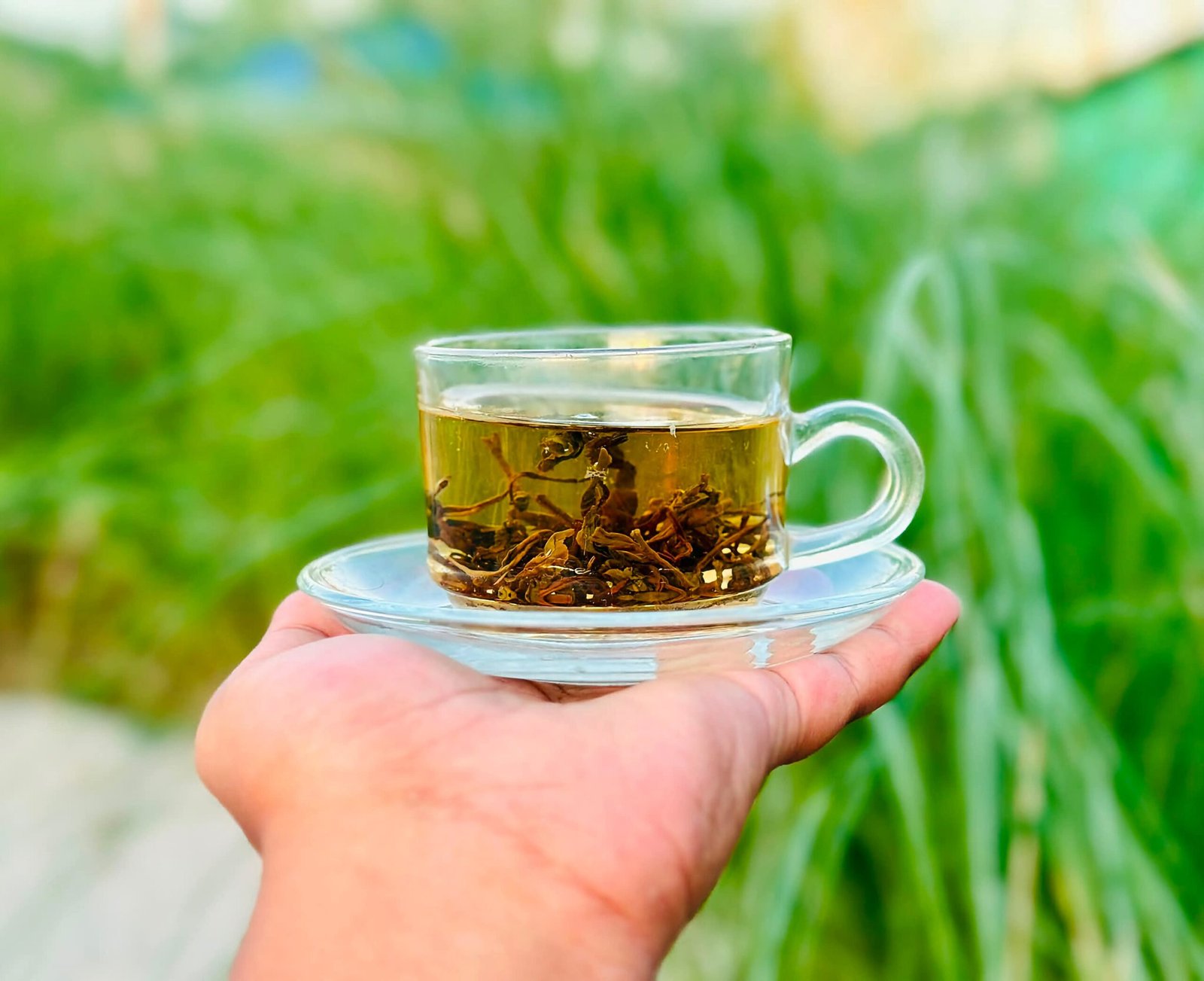 গ্রিন টি ২০০ গ্রাম প্রিমিয়াম - Sreemangal Tea